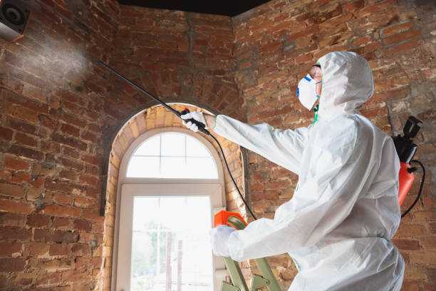 Best Mold Remediation for Healthcare Facilities  in Waite Park, MN