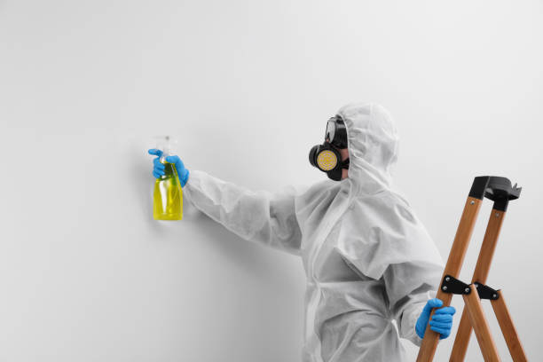 Waite Park, MN Mold Removal Services Company